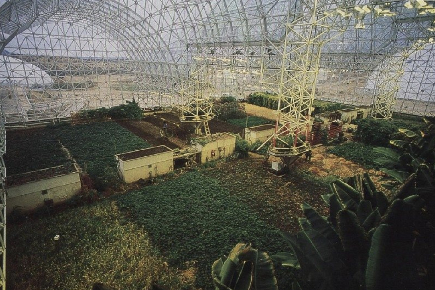 生物圈實驗示警 物種滅絕人難獨活