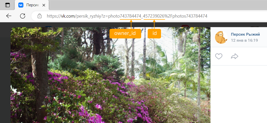 Значения owner_id и id в адресе ресурса