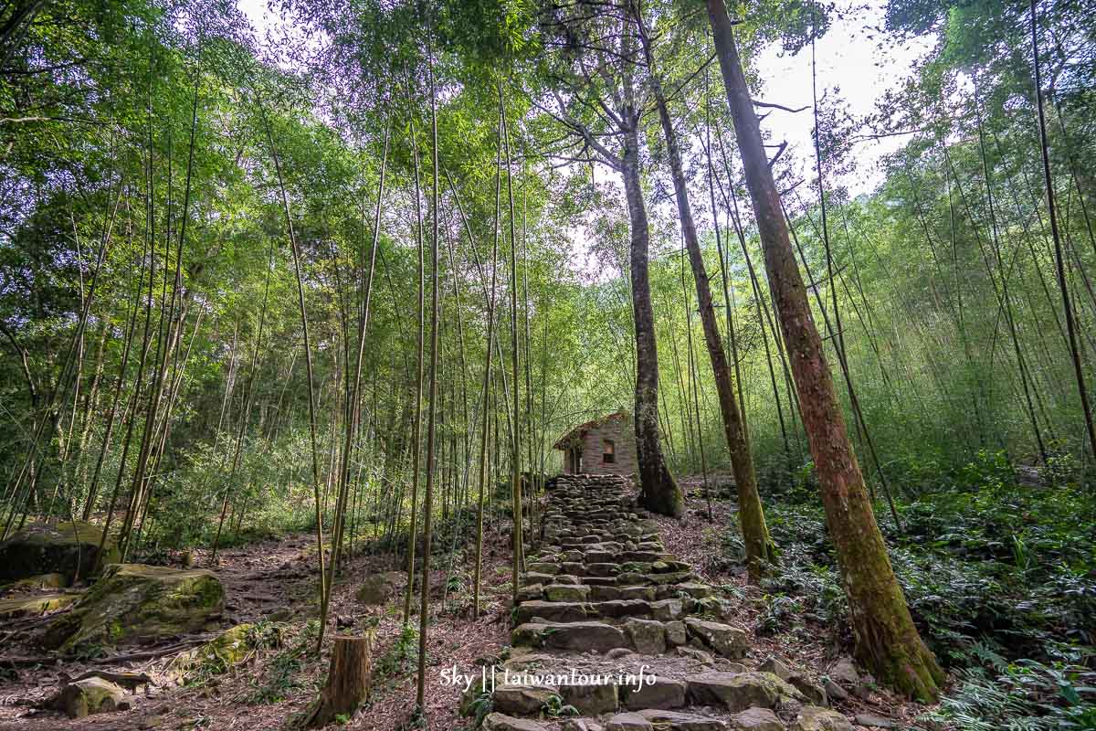 【八仙山森林遊樂區】台中親子景點推薦.和平天空步道