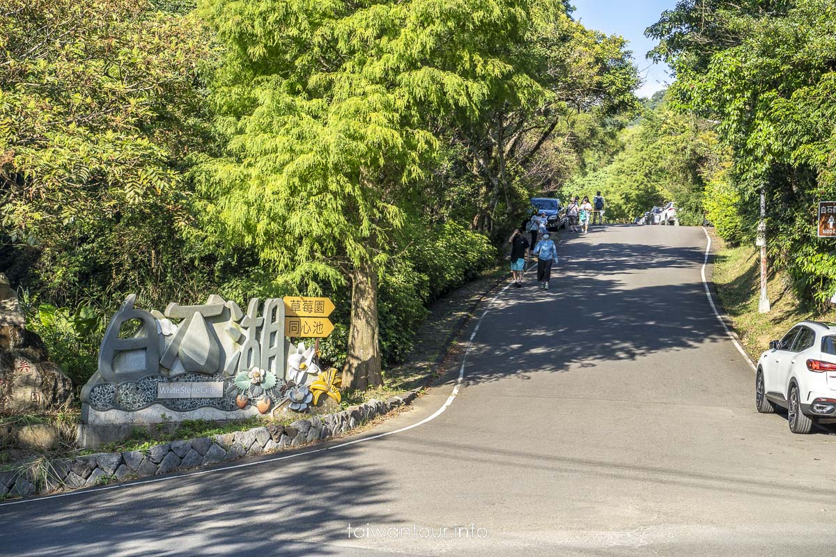 【碧溪步道】台北小溪頭步道.親子景點推薦.交通.地址