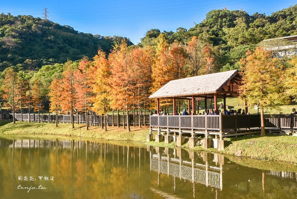 即時熱門文章：【台北士林景點】原住民文化主題公園 北部落羽松秘境！免門票免費入園超好拍照