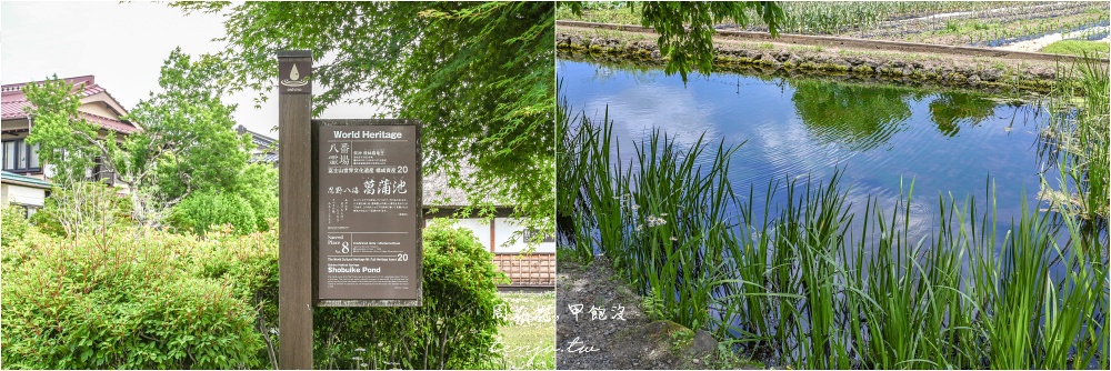 【KKday富士山一日遊評價】河口湖大石公園、忍野八海、御殿場Outlet、木之花之湯溫泉