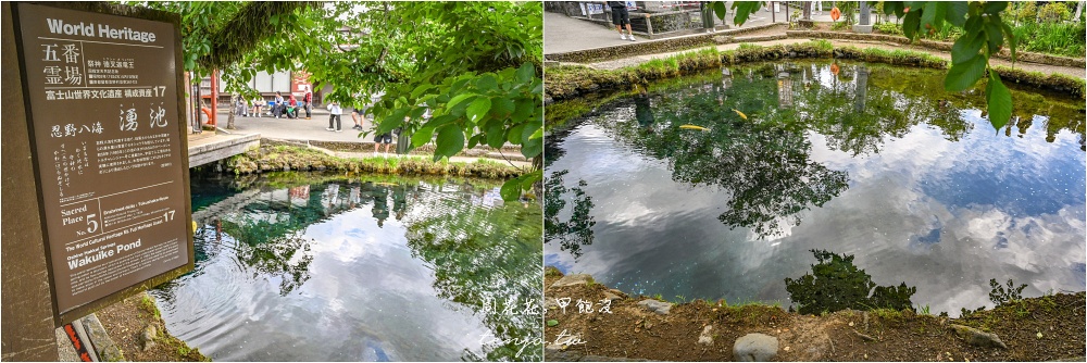 【KKday富士山一日遊評價】河口湖大石公園、忍野八海、御殿場Outlet、木之花之湯溫泉