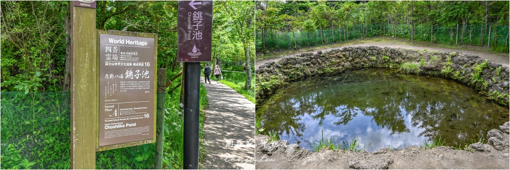 【KKday富士山一日遊評價】河口湖大石公園、忍野八海、御殿場Outlet、木之花之湯溫泉