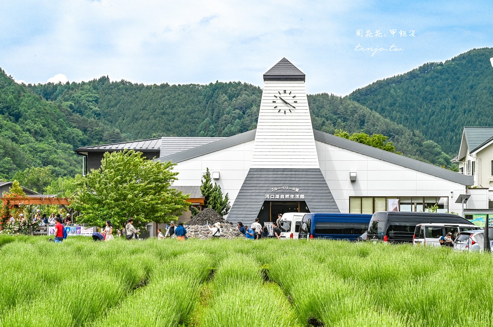 【KKday富士山一日遊評價】河口湖大石公園、忍野八海、御殿場Outlet、木之花之湯溫泉