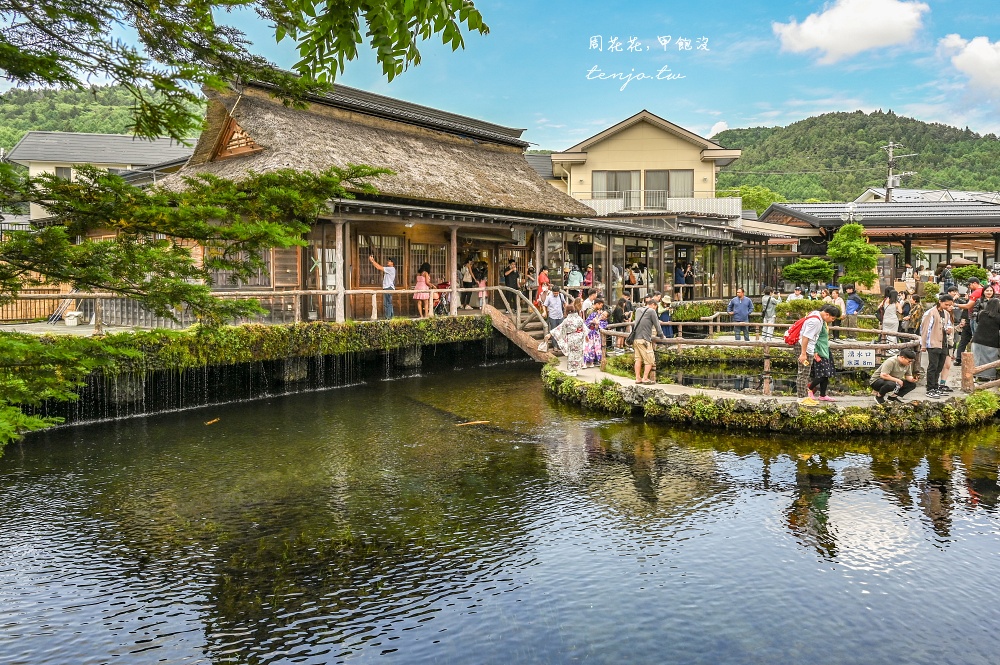 【KKday富士山一日遊評價】河口湖大石公園、忍野八海、御殿場Outlet、木之花之湯溫泉