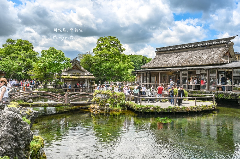 【KKday富士山一日遊評價】河口湖大石公園、忍野八海、御殿場Outlet、木之花之湯溫泉