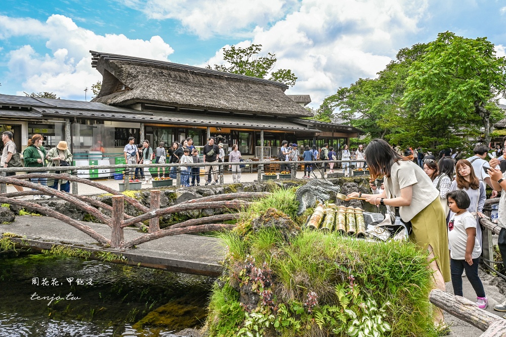 【KKday富士山一日遊評價】河口湖大石公園、忍野八海、御殿場Outlet、木之花之湯溫泉