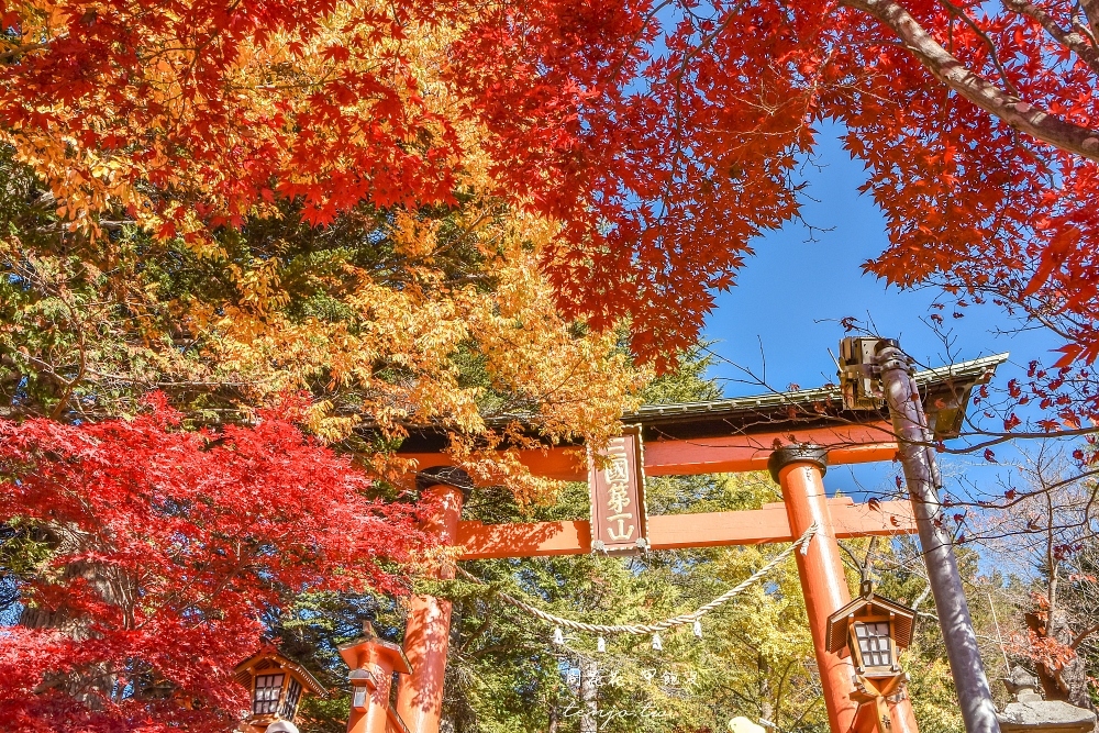 【山梨縣景點】新倉富士淺間神社 絕美富士山景！河口湖紅葉櫻花景點推薦一日遊交通方便