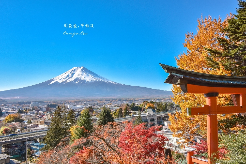 【山梨縣景點】新倉富士淺間神社 絕美富士山景！河口湖紅葉櫻花景點推薦一日遊交通方便