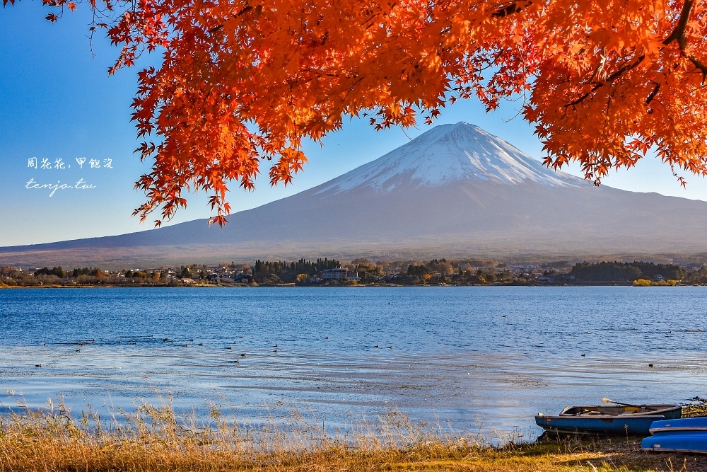 【河口湖景點】大石公園 河口湖自然生活館 隱藏版二樓咖啡廳看富士山！交通巴士開放時間