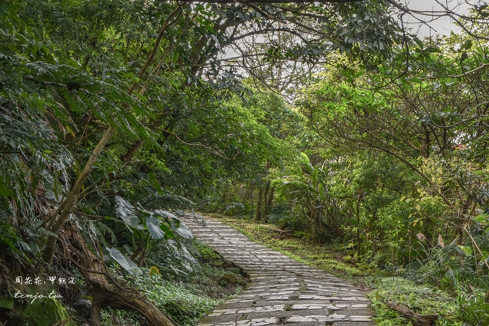 【新北賞櫻秘境】土城太極嶺步道 賞櫻花桐花景點推薦！登山健行來回一小時內輕鬆搞定