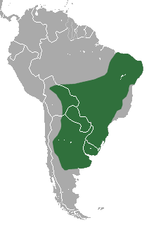 Distribuição do Gambá-de-orelha-branca