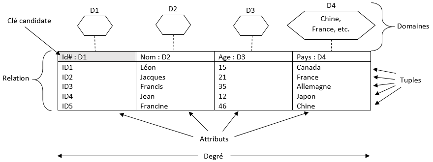 Figure structure relationnelle.