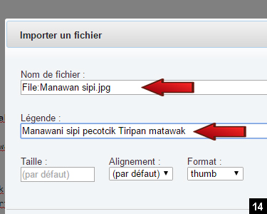 14. Collez le nom du fichier incluant le préfixe "File" et l'extension ".jpg". Inscrire une légende pour qu'elle s'ajoute au bas de l'image.