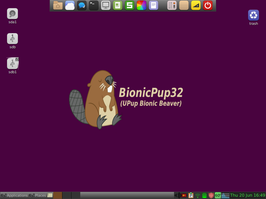 Screenshot Puppy Linux FossaPup 9.5