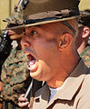 Drill sergeant screams.jpg 21,235 total views peak on 2010 Nov