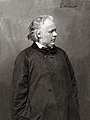 Q187506 Honoré Daumier niet later dan 1879 (Foto: Felix Nadar) geboren op 26 februari 1808 overleden op 10 februari 1879