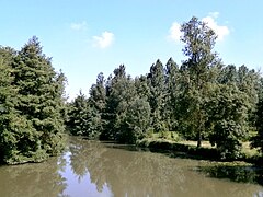 Photographie en couleurs d'une rivière bordée d'arbres, vue depuis un pont.