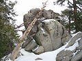 Thumbnail for Mount San Jacinto State Park