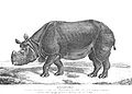 Panzernashorn von Tourniaire (1820)