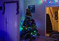 2014-02-27 My university house's Christmas tree.