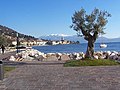 Panorama con el Monte Baldo