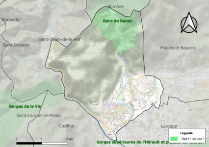 Carte de la ZNIEFF de type 1 sur la commune.