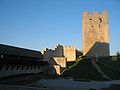 The Frederick Tower of the Celje Upper Castle, 2006