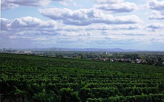 Blick von Hochheim am Main nach Südosten über die Oberrheinische Tiefebene bis zum Odenwald. Die markanteste Erhebung der Odenwald-Silhouette ist im rechten Bilddrittel der Melibokus an der Bergstraße in 38 km Entfernung. Rechts vom Melibokus setzt sich die Bergstraße nach Süden weiter fort.