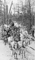 Image 6Logs being transported on a sleigh after being cut (from History of Wisconsin)