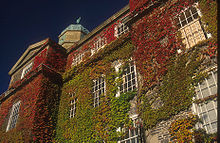 Dalhousie Vines.jpg