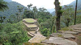 Ciudad Perdida is a major settlement believed to have been founded around 800 CE. It consists of a series of 169 terraces carved into the mountainside, a net of tiled roads and several small circular plazas. The entrance can only be accessed by a climb up some 1,200 stone steps through dense jungle.[24]