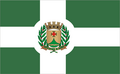 Bandeira de Santo Antônio da Alegria