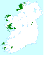 Ingin-ordaag da'n lhieggan shoh ec 15:05, 10 Mean Fouyir 2006