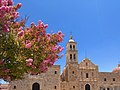 Árbol de Lagerstroemia en Sombrerete, México durante verano