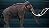 Reconstruction of Columbian mammoth