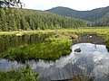 Jezero Kleiner Arbersee