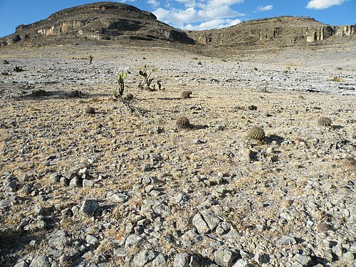 Habitat near Concepcion buenavista, Oaxaca