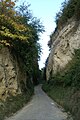 The loess created alleys through which soldiers had to march, and which made them vulnerable to attacks from above.