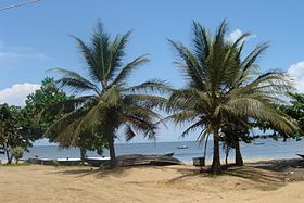 Région du Sud (Cameroun)