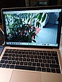 MacBook Air Retina (2019)