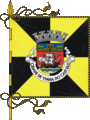 Bandeira de Viana do Castelo