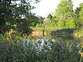 Waterfront Trail near Conffederation Park