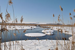 Seretas Ternopilio apylinkėse