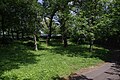 2015-01-03 The wooded area to the north-west of Jubilee Campus.