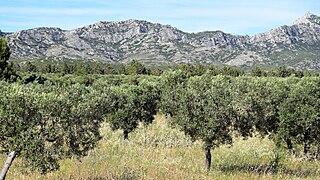 Alpilles