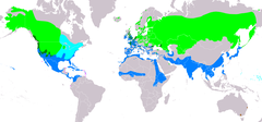 Distribución de Anas clypeata.