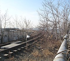 Overgrown railway line prior to repurposing