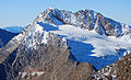 Hochwilde in den Ötztaler Alpen